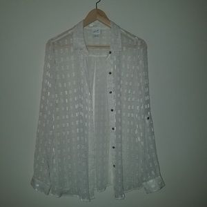 Sheer Long Sleeve Shirt